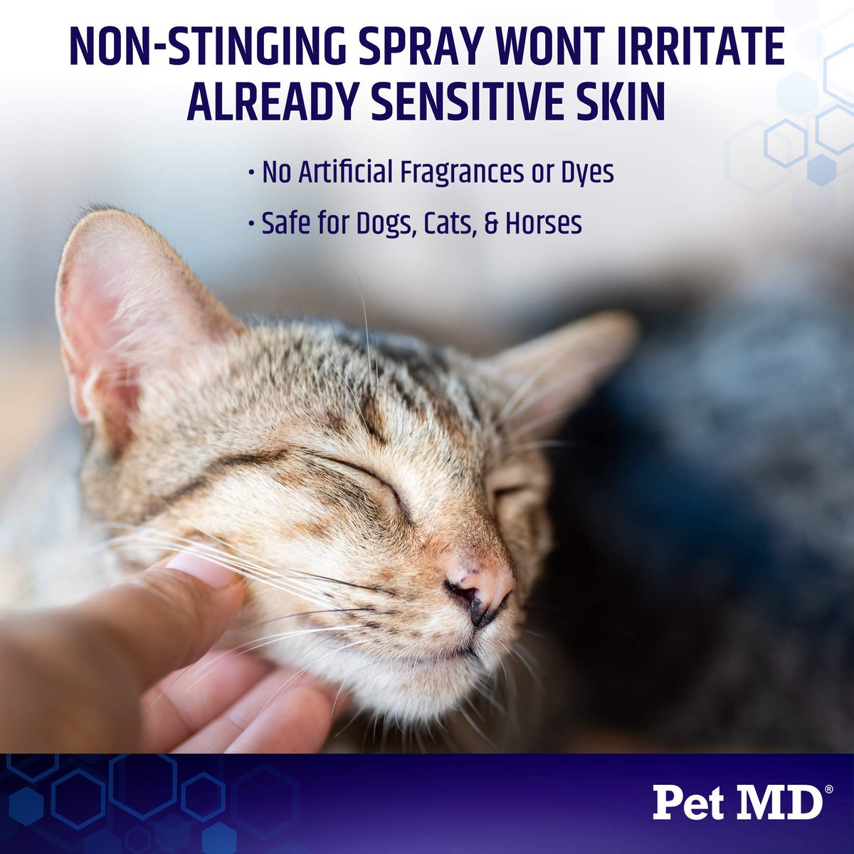 Pet MD Hydrocortison-Spray für Hunde, Katzen und Pferde – Juckreizlinderung & Hot-Spot-Behandlung bei trockener, juckender Haut, Allergien und Dermatitis – Reduziert oberflächliche Entzündungen – 118 ml