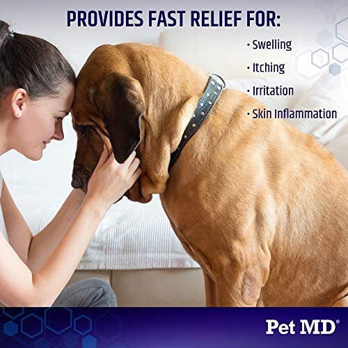 Pet MD Hydrocortison-Spray für Hunde, Katzen und Pferde – Juckreizlinderung & Hot-Spot-Behandlung bei trockener, juckender Haut, Allergien und Dermatitis – Reduziert oberflächliche Entzündungen – 118 ml