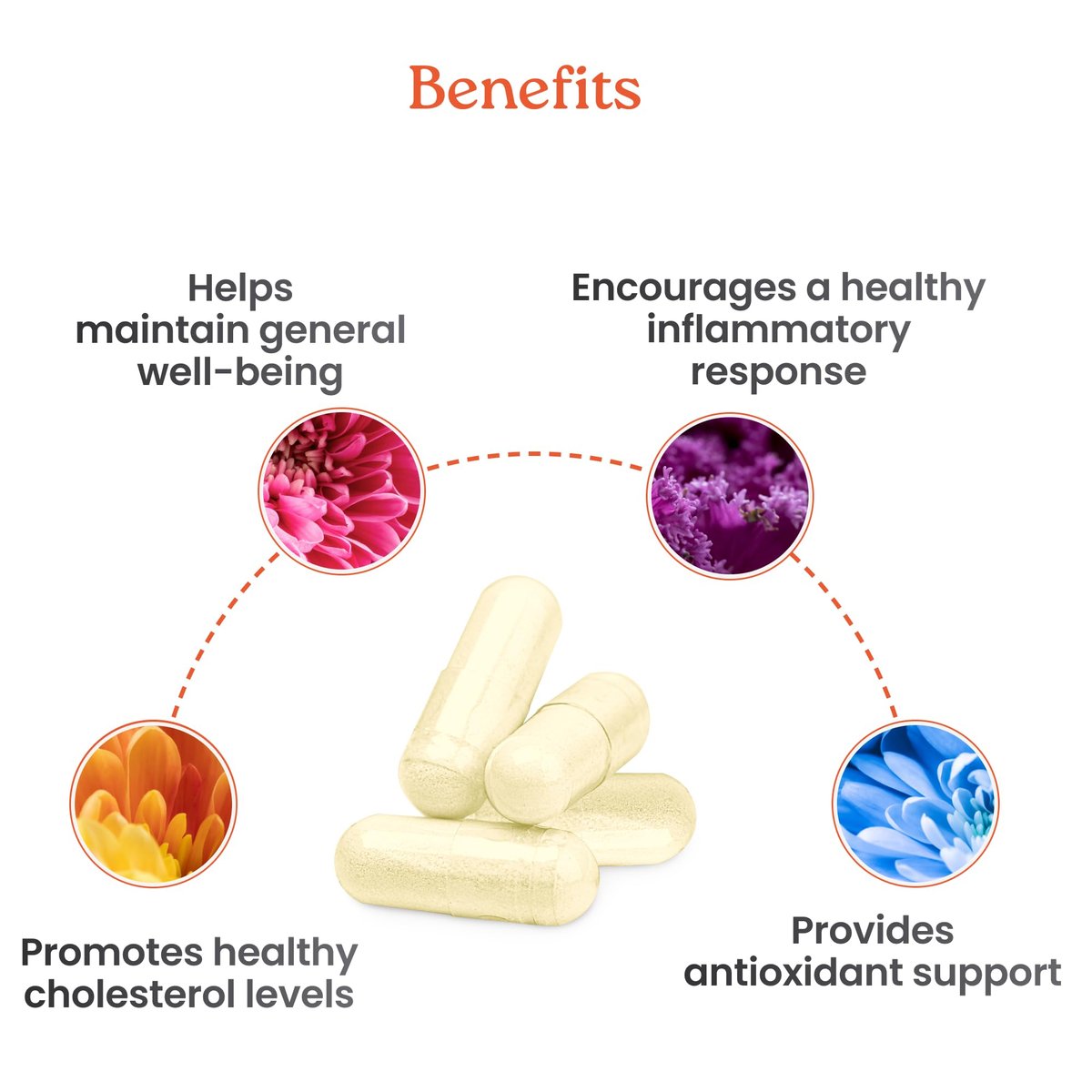 NewLife Naturals Citrus Bergamot Supplement 500 mg – Herzgesundheit & Wohlbefinden – Reiner Extrakt – 60 vegane Kapseln