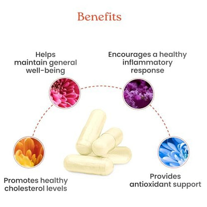 NewLife Naturals Citrus Bergamot Supplement 500 mg – Herzgesundheit & Wohlbefinden – Reiner Extrakt – 60 vegane Kapseln