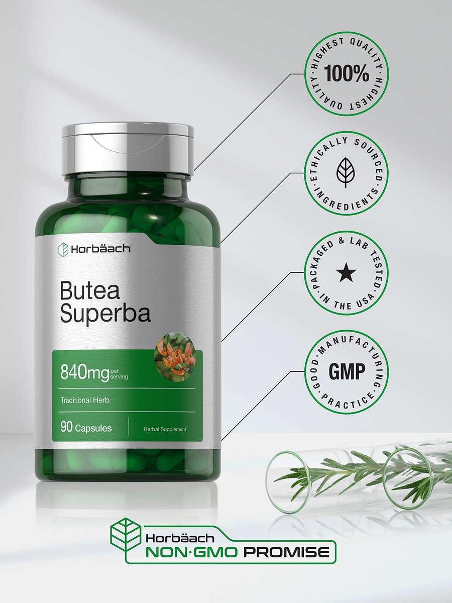 Horbäach Butea Superba Root 840mg – 90 Kapseln | für die männliche Leistungsfähigkeit | Non-GMO, glutenfrei