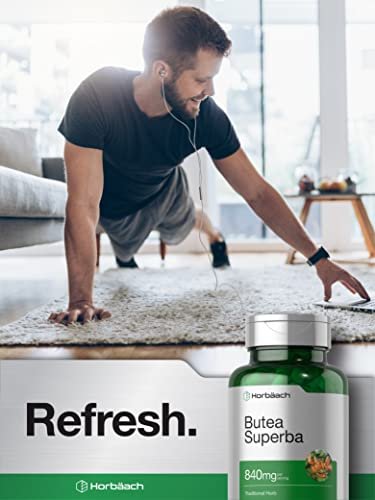 Horbäach Butea Superba Root 840mg – 90 Kapseln | für die männliche Leistungsfähigkeit | Non-GMO, glutenfrei
