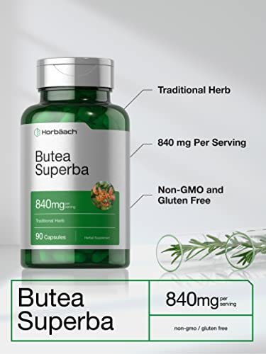 Horbäach Butea Superba Root 840mg – 90 Kapseln | für die männliche Leistungsfähigkeit | Non-GMO, glutenfrei