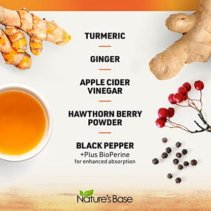Nature's Base Kurkuma und Ingwer Kapseln mit Curcumin, Apfelessig und BioPerin Schwarzer Pfeffer Extrakt - 95% Curcuminoide - 60 Kapseln