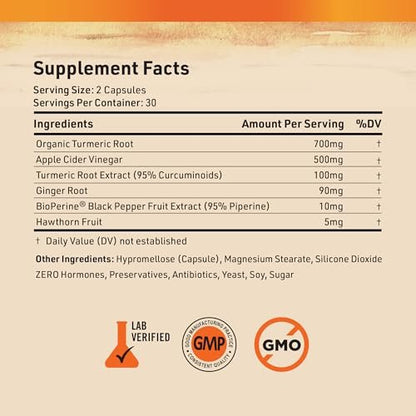 Nature's Base Kurkuma und Ingwer Kapseln mit Curcumin, Apfelessig und BioPerin Schwarzer Pfeffer Extrakt - 95% Curcuminoide - 60 Kapseln