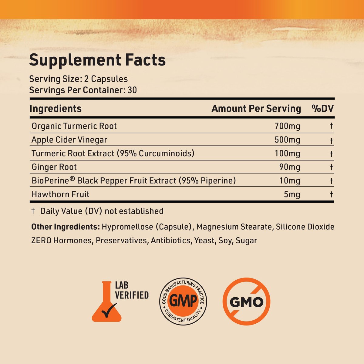 Nature's Base Kurkuma und Ingwer Kapseln mit Curcumin, Apfelessig und BioPerin Schwarzer Pfeffer Extrakt - 95% Curcuminoide - 60 Kapseln