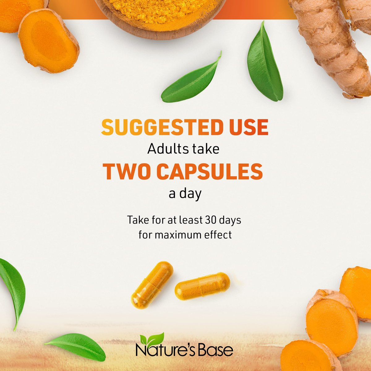 Nature's Base Kurkuma und Ingwer Kapseln mit Curcumin, Apfelessig und BioPerin Schwarzer Pfeffer Extrakt - 95% Curcuminoide - 60 Kapseln