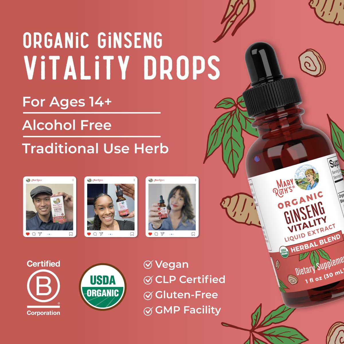 MARYRUTH'S Organics Kräuterergänzung für Gehirnfunktion | Energie | Gedächtnis | Vitalität USDA | Ginseng mit Ashwagandha | Eleuthero und Maca-Wurzelextrakt | 30 ml