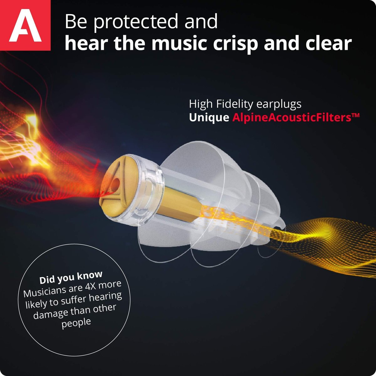 Alpine MusicSafe – Hochwertige Gehörschutz-Ohrstöpsel für Musiker – 2 austauschbare Filter-Sets: 19 & 22 dB – Professioneller Gehörschutz – Transparent