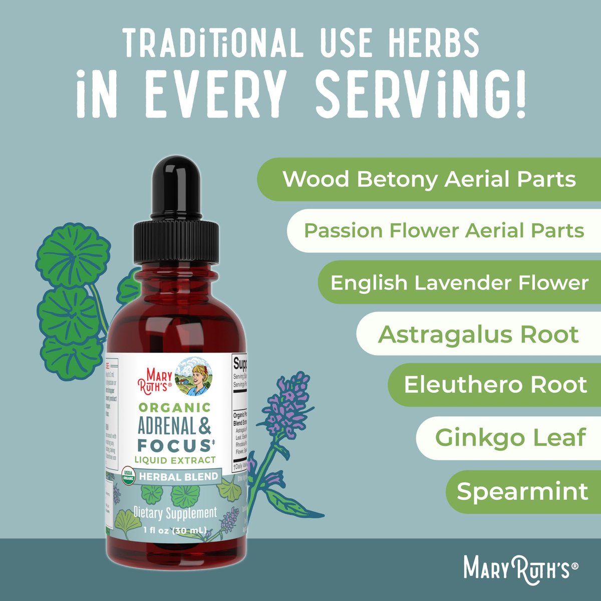 MARYRUTH'S Organics - Bio Nootropikum für Erwachsene mit Ginkgo Biloba & Astragalus | Konzentration & Nebennierenunterstützung | Gedächtnis & Gehirn Tropfen | Vegan | Non-GMO | Glutenfrei | 30 Portionen
