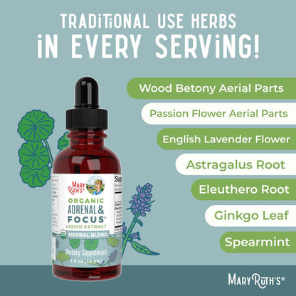MARYRUTH'S Organics - Bio Nootropikum für Erwachsene mit Ginkgo Biloba & Astragalus | Konzentration & Nebennierenunterstützung | Gedächtnis & Gehirn Tropfen | Vegan | Non-GMO | Glutenfrei | 30 Portionen