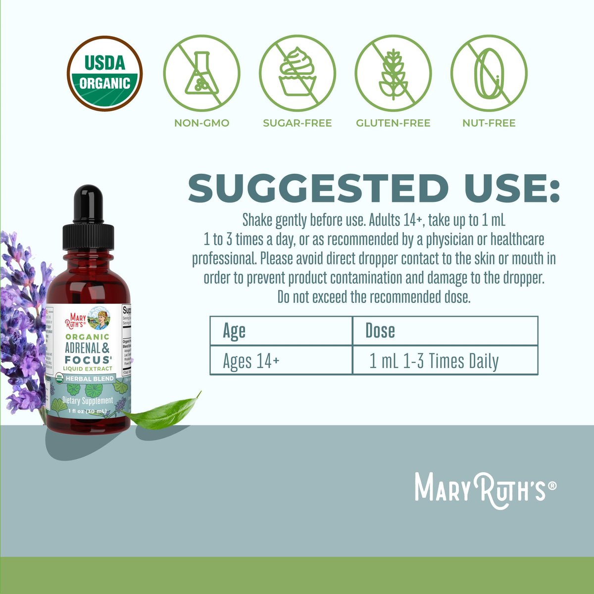 MARYRUTH'S Organics - Bio Nootropikum für Erwachsene mit Ginkgo Biloba & Astragalus | Konzentration & Nebennierenunterstützung | Gedächtnis & Gehirn Tropfen | Vegan | Non-GMO | Glutenfrei | 30 Portionen