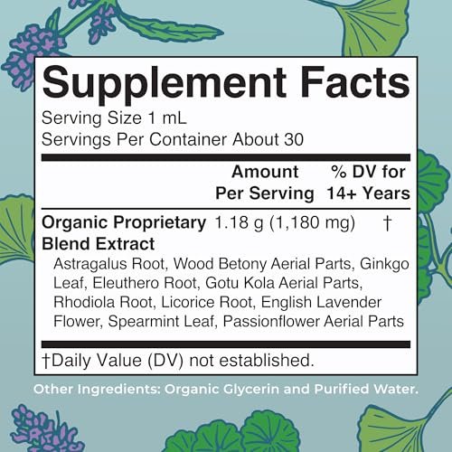 MARYRUTH'S Organics - Bio Nootropikum für Erwachsene mit Ginkgo Biloba & Astragalus | Konzentration & Nebennierenunterstützung | Gedächtnis & Gehirn Tropfen | Vegan | Non-GMO | Glutenfrei | 30 Portionen