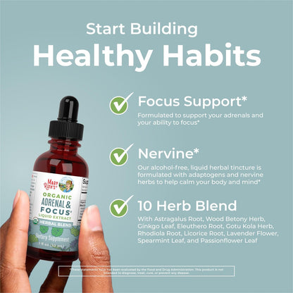MARYRUTH'S Organics - Bio Nootropikum für Erwachsene mit Ginkgo Biloba & Astragalus | Konzentration & Nebennierenunterstützung | Gedächtnis & Gehirn Tropfen | Vegan | Non-GMO | Glutenfrei | 30 Portionen