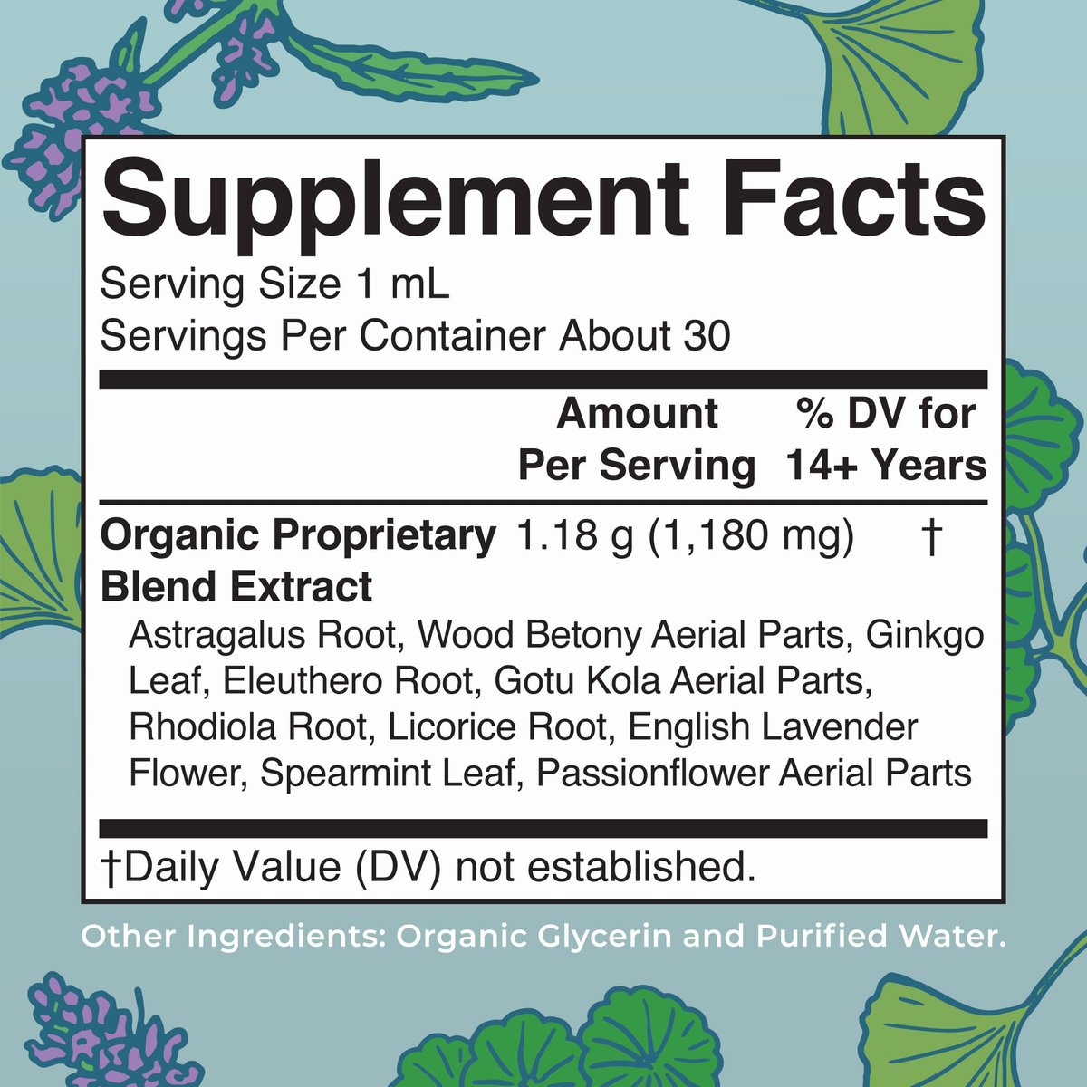 MARYRUTH'S Organics - Bio Nootropikum für Erwachsene mit Ginkgo Biloba & Astragalus | Konzentration & Nebennierenunterstützung | Gedächtnis & Gehirn Tropfen | Vegan | Non-GMO | Glutenfrei | 30 Portionen