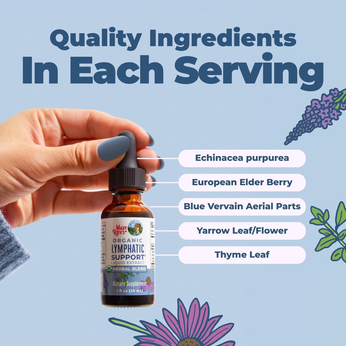 MARYRUTH'S Lymphatische Unterstützung flüssige Tropfen USDA Organic | Kräutermischung mit Echinacea & Holunder | Eisenkraut | Vegan | Alkoholfrei | Nicht-GMO | 30 Portionen