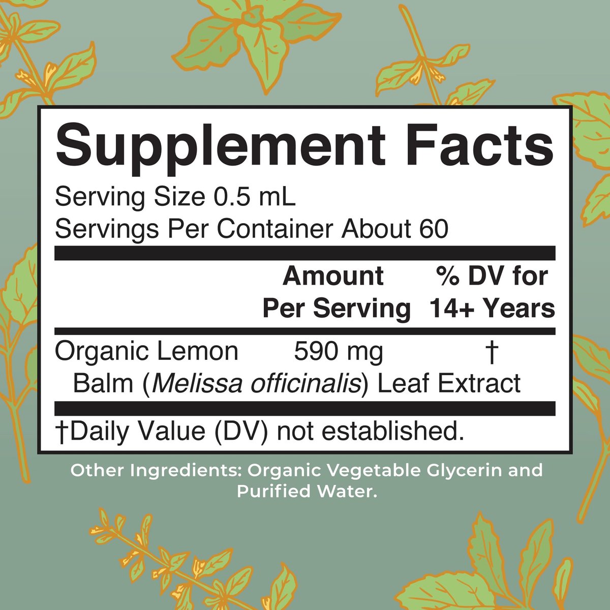 MARYRUTH'S ORGANICS Bio-Zitronenmelisse Blattextrakt | Stimmungsunterstützung | Entspannung | Beruhigend | Nervenkräuter | Zitronenmelisse Tinktur | USDA Bio | Vegan | Nicht-GVO | Glutenfrei | 1 Fl Oz