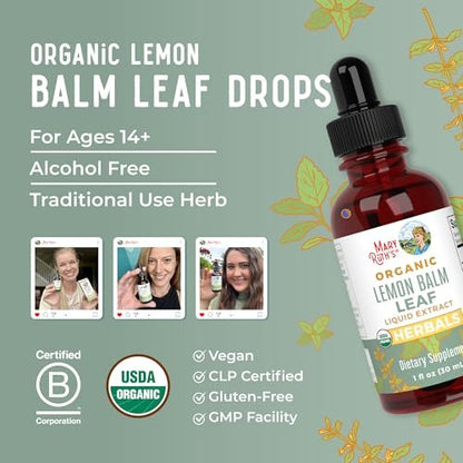 MARYRUTH'S ORGANICS Bio-Zitronenmelisse Blattextrakt | Stimmungsunterstützung | Entspannung | Beruhigend | Nervenkräuter | Zitronenmelisse Tinktur | USDA Bio | Vegan | Nicht-GVO | Glutenfrei | 1 Fl Oz