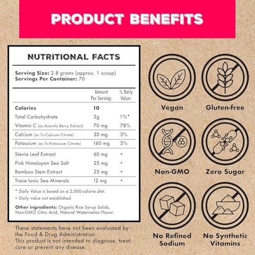 Superieur Elektrolyt-Pulver Beutel – Veganes Elektrolyt-Hydrationspulver mit Meeresmineralien – Keto-freundlich, Non-GMO, Zuckerfrei – Himbeere (14 Beutel)