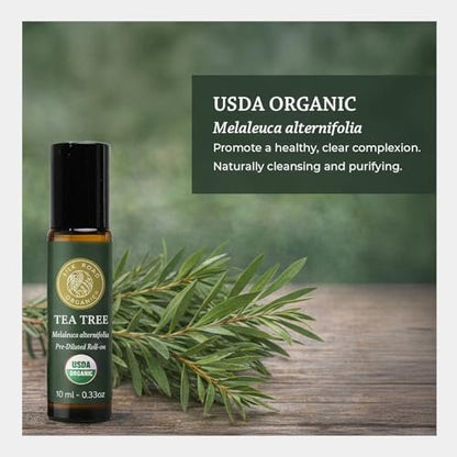 Silk Road Organic Bio Teebaumöl Roll-On für gesunde, klare Haut, Nagel- und Fußpflege – 100 % rein, USDA-zertifiziert, 10 ml