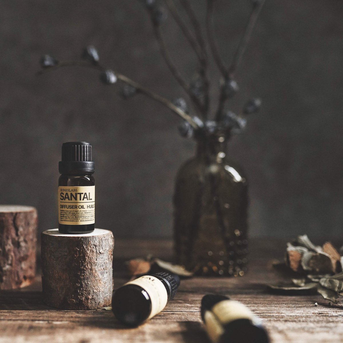 sesneslabs Santal Diffuser Oil – Nischenduft mit Amber, Kokos, Vanille, Zedernholz, Sandelholz & Moschus für Ultraschallvernebler (10 ml)