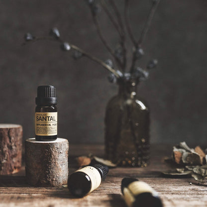 sesneslabs Santal Diffuser Oil – Nischenduft mit Amber, Kokos, Vanille, Zedernholz, Sandelholz & Moschus für Ultraschallvernebler (10 ml)