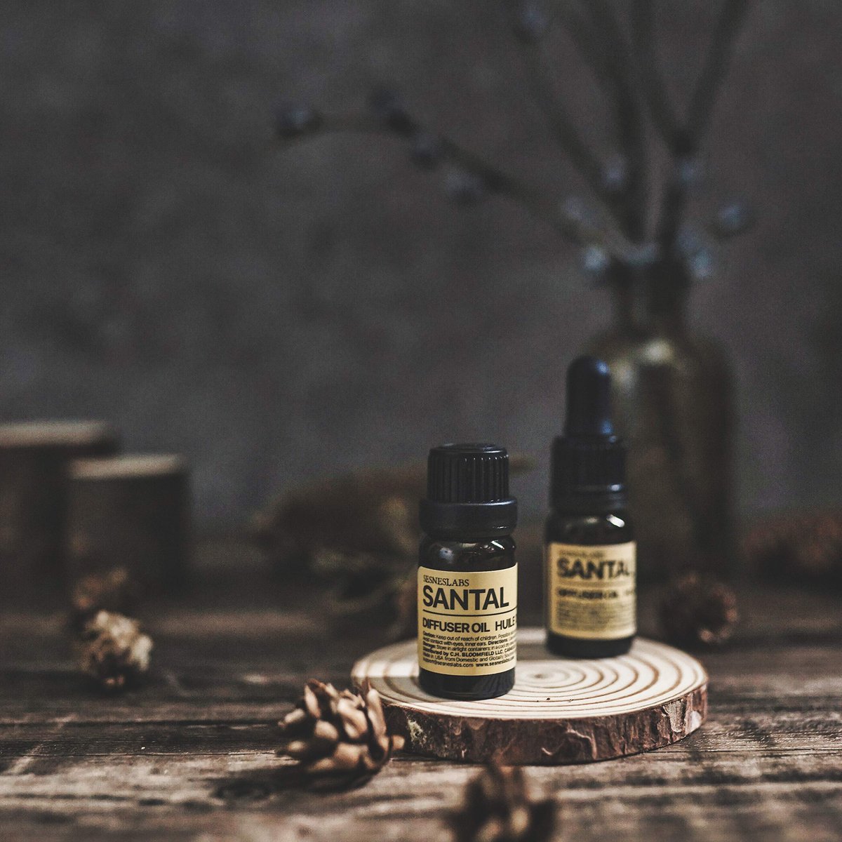 sesneslabs Santal Diffuser Oil – Nischenduft mit Amber, Kokos, Vanille, Zedernholz, Sandelholz & Moschus für Ultraschallvernebler (10 ml)