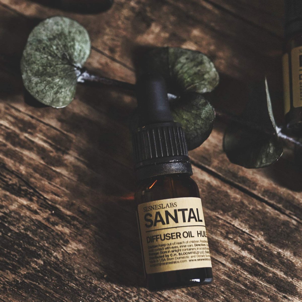 sesneslabs Santal Diffuser Oil – Nischenduft mit Amber, Kokos, Vanille, Zedernholz, Sandelholz & Moschus für Ultraschallvernebler (10 ml)