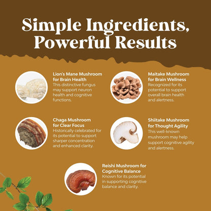 Advanced Lions Mähnenpilz Komplex – Kapseln mit Reishi, Chaga, Maitake & Shiitake für Gehirngesundheit, Gedächtnis & Fokus – Nootropikum für geistige Klarheit – 60 Kapseln