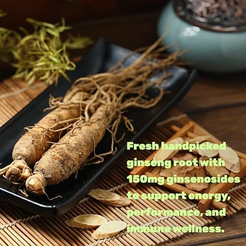 DEAL SUPPLEMENT Koreanischer Roter Panax Ginseng Wurzelextrakt, 240 Weichkapseln