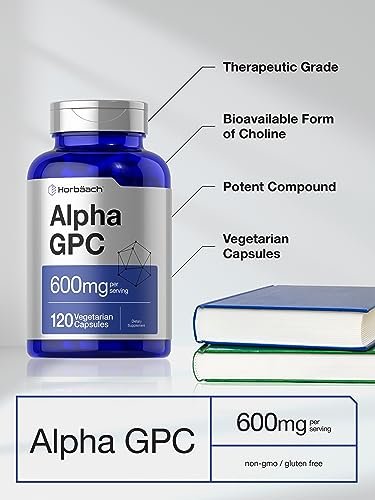 Horbäach Alpha GPC 600mg – 120 Kapseln | Vegetarisch, Nicht-GVO & Glutenfrei Cholin-Präparat | Unterstützt gesundes Gedächtnis, Fokus und Klarheit