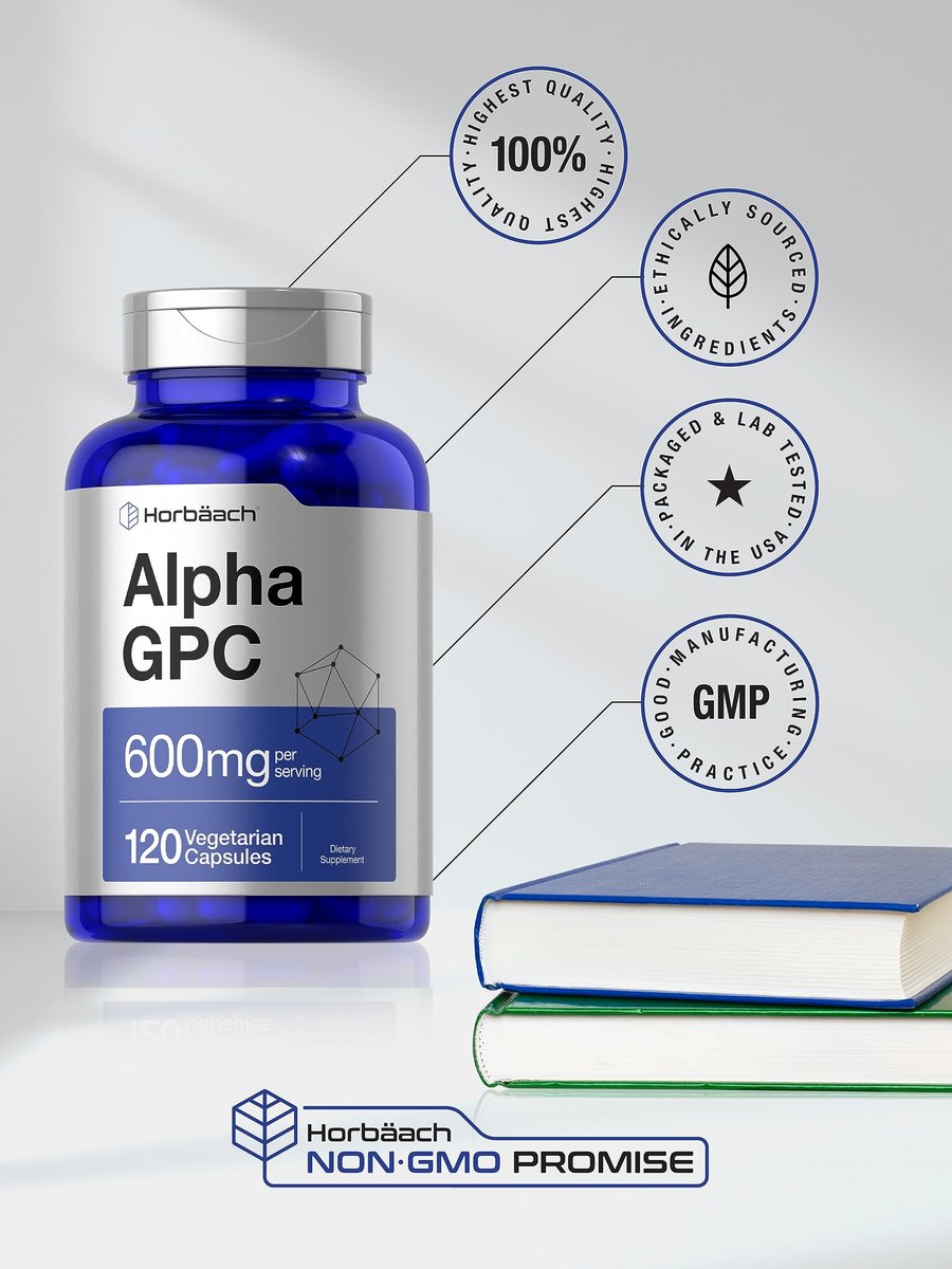 Horbäach Alpha GPC 600mg – 120 Kapseln | Vegetarisch, Nicht-GVO & Glutenfrei Cholin-Präparat | Unterstützt gesundes Gedächtnis, Fokus und Klarheit