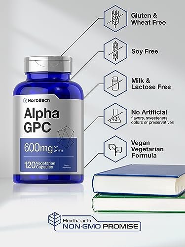 Horbäach Alpha GPC 600mg – 120 Kapseln | Vegetarisch, Nicht-GVO & Glutenfrei Cholin-Präparat | Unterstützt gesundes Gedächtnis, Fokus und Klarheit