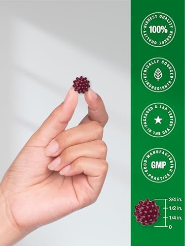 Horbaach Holunderbeeren-Gummis | 120 Stück | Sambucus-Extrakt | mit Zink und Vitamin C | Beerengeschmack | Vegan, Nicht-GVO und Glutenfrei für Erwachsene