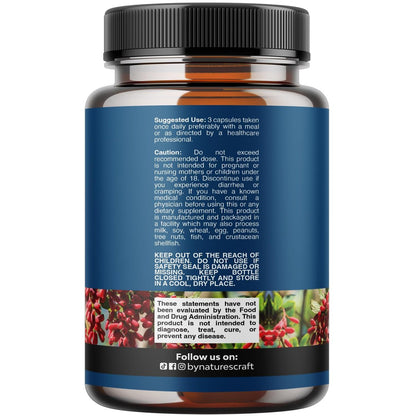 Balancing Berberine Plus 1200 mg pro Portion Komplex – Antioxidans Berberin mit Ceylon-Zimt Kapseln plus Silymarin Mariendistel Extrakt – Aktiver PK für Herzgesundheit und Zuckerunterstützung – 60 Kapseln