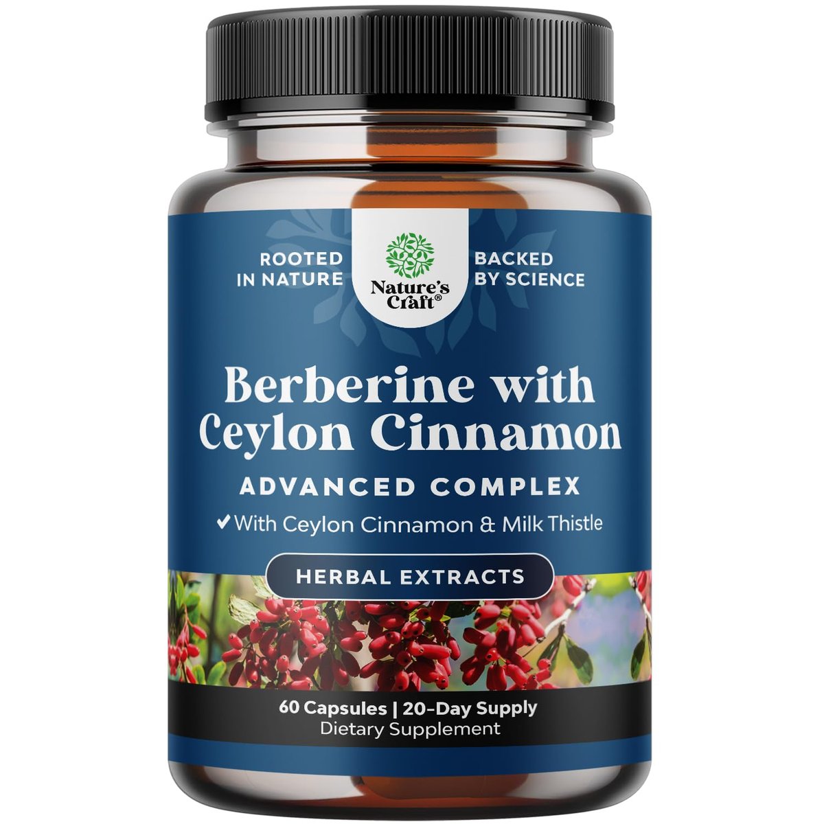 Balancing Berberine Plus 1200 mg pro Portion Komplex – Antioxidans Berberin mit Ceylon-Zimt Kapseln plus Silymarin Mariendistel Extrakt – Aktiver PK für Herzgesundheit und Zuckerunterstützung – 60 Kapseln