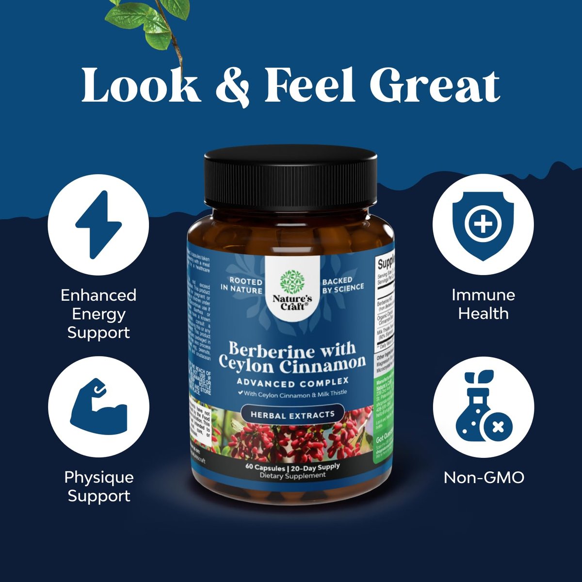 Balancing Berberine Plus 1200 mg pro Portion Komplex – Antioxidans Berberin mit Ceylon-Zimt Kapseln plus Silymarin Mariendistel Extrakt – Aktiver PK für Herzgesundheit und Zuckerunterstützung – 60 Kapseln