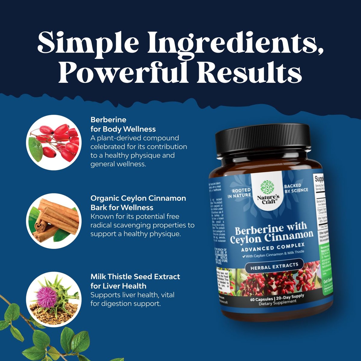 Balancing Berberine Plus 1200 mg pro Portion Komplex – Antioxidans Berberin mit Ceylon-Zimt Kapseln plus Silymarin Mariendistel Extrakt – Aktiver PK für Herzgesundheit und Zuckerunterstützung – 60 Kapseln
