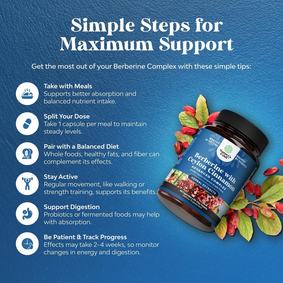 Balancing Berberine Plus 1200 mg pro Portion Komplex – Antioxidans Berberin mit Ceylon-Zimt Kapseln plus Silymarin Mariendistel Extrakt – Aktiver PK für Herzgesundheit und Zuckerunterstützung – 60 Kapseln