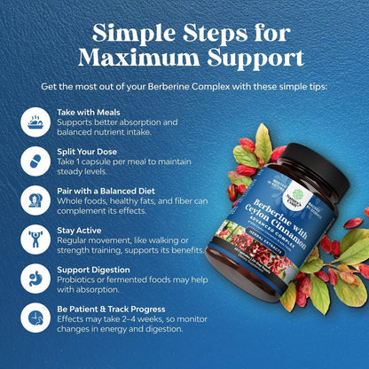 Balancing Berberine Plus 1200 mg pro Portion Komplex – Antioxidans Berberin mit Ceylon-Zimt Kapseln plus Silymarin Mariendistel Extrakt – Aktiver PK für Herzgesundheit und Zuckerunterstützung – 60 Kapseln
