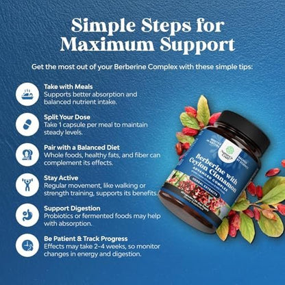 Balancing Berberine Plus 1200 mg pro Portion Komplex – Antioxidans Berberin mit Ceylon-Zimt Kapseln plus Silymarin Mariendistel Extrakt – Aktiver PK für Herzgesundheit und Zuckerunterstützung – 60 Kapseln