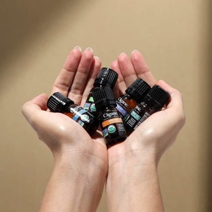 Cliganic Bio Nelkenknospen Öl, 100% rein natürlich für Aromatherapie | Non-GMO verifiziert