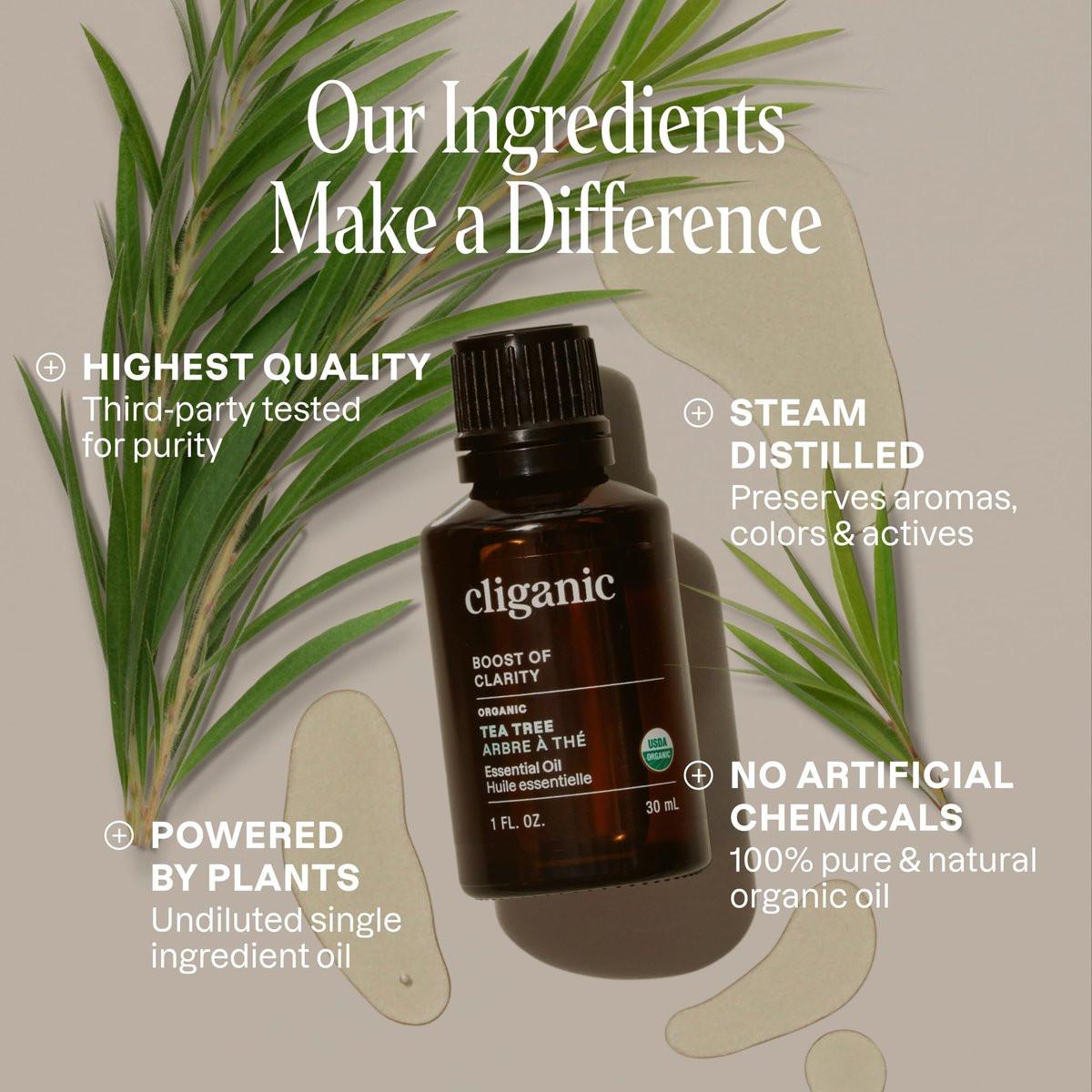 Cliganic Bio Teebaumöl – 100% reines natürliches ätherisches Öl für Aromatherapie, Non-GMO verifiziert (30 ml)