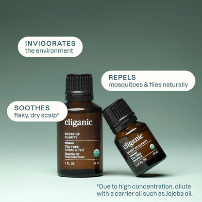 Cliganic Bio Teebaumöl – 100% reines natürliches ätherisches Öl für Aromatherapie, Non-GMO verifiziert (30 ml)