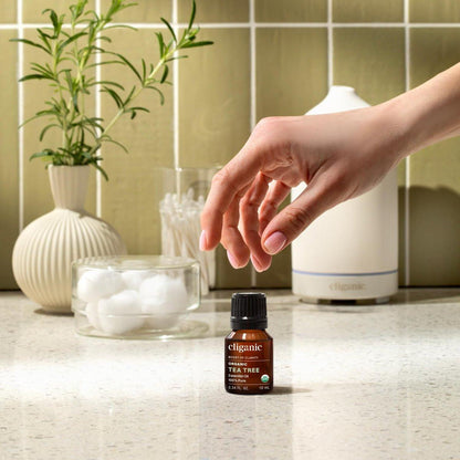 Cliganic Bio Teebaumöl – 100% reines natürliches ätherisches Öl für Aromatherapie, Non-GMO verifiziert (30 ml)