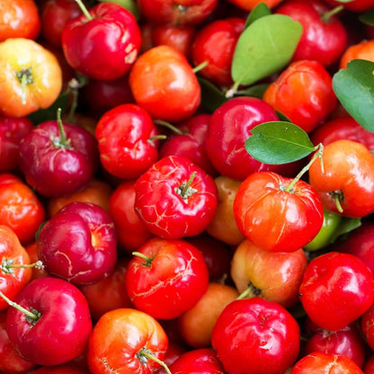 Pure Original Ingredients Acerola-Kirsche, 100 Kapseln – Immer rein, ohne Zusätze oder Füllstoffe