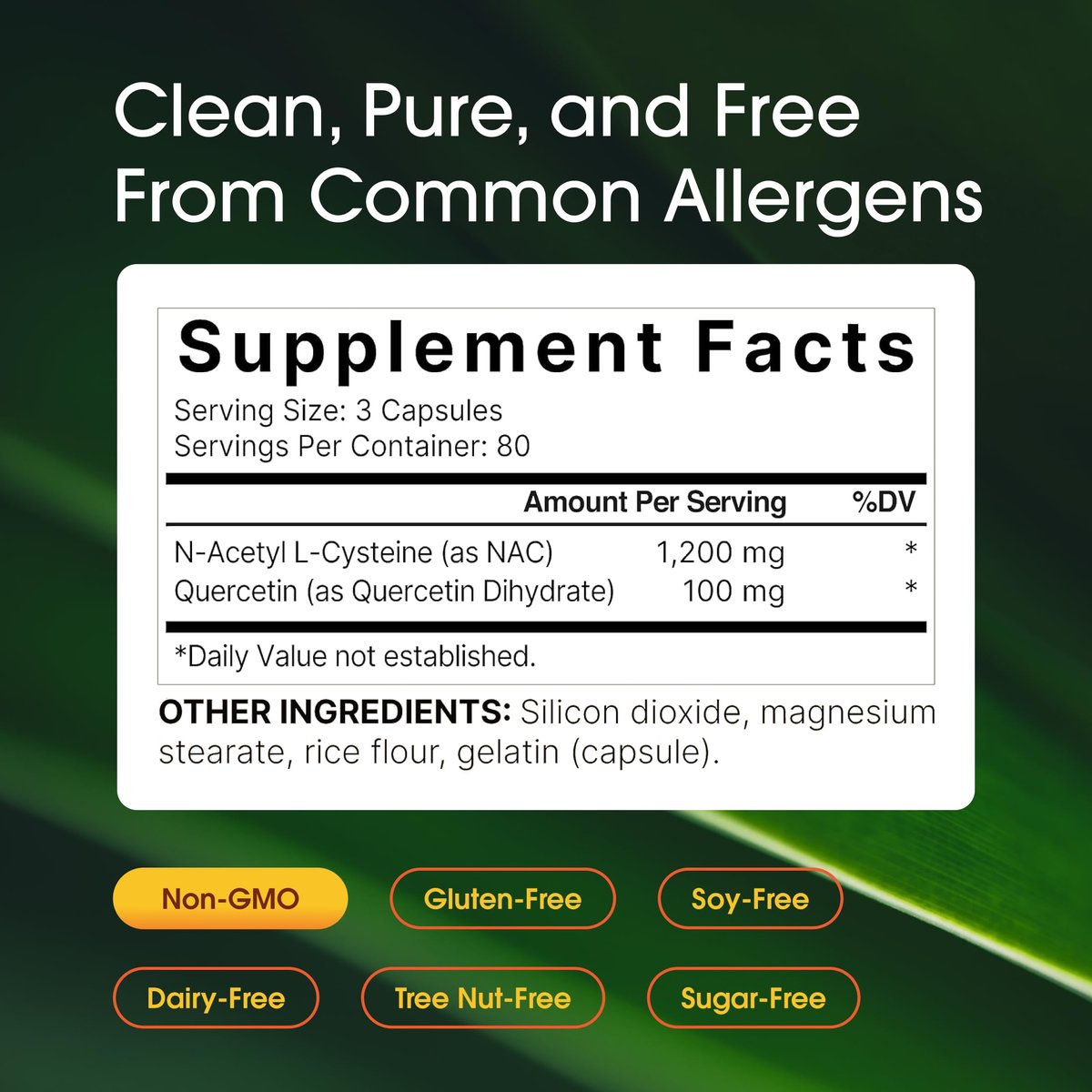NatureBell NAC 1.200 mg mit Quercetin - 240 Kapseln - N-Acetylcystein - Antioxidans für die Zellgesundheit - Unterstützt Leber, Lunge & Immunfunktion* - Drittgeprüft