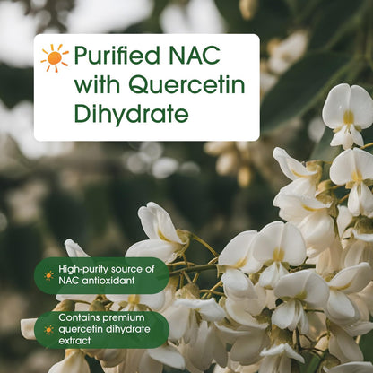 NatureBell NAC 1.200 mg mit Quercetin - 240 Kapseln - N-Acetylcystein - Antioxidans für die Zellgesundheit - Unterstützt Leber, Lunge & Immunfunktion* - Drittgeprüft