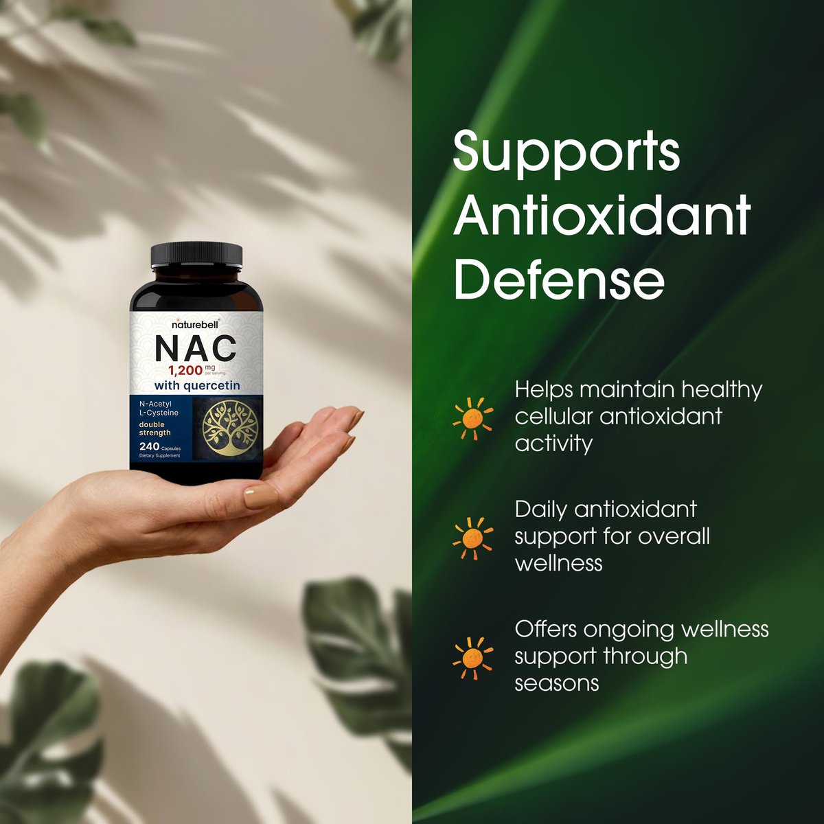 NatureBell NAC 1.200 mg mit Quercetin - 240 Kapseln - N-Acetylcystein - Antioxidans für die Zellgesundheit - Unterstützt Leber, Lunge & Immunfunktion* - Drittgeprüft