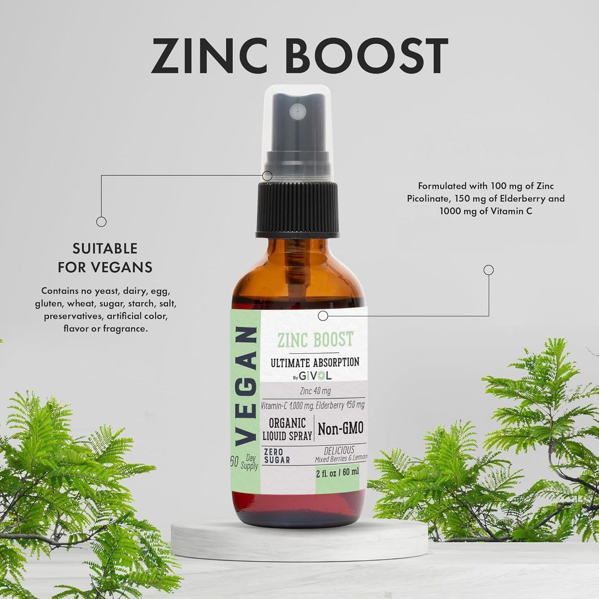 GIVOL Bio Zink Boost Spray 40 mg (Extra Stärke) - Zuckerfrei mit Vitamin C und Holunderextrakt - Veganer Flüssigspray für Kinder und Erwachsene - Leichte Aufnahme - Non-GMO - (60 ml) 60 Tage Vorrat